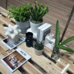 展示会